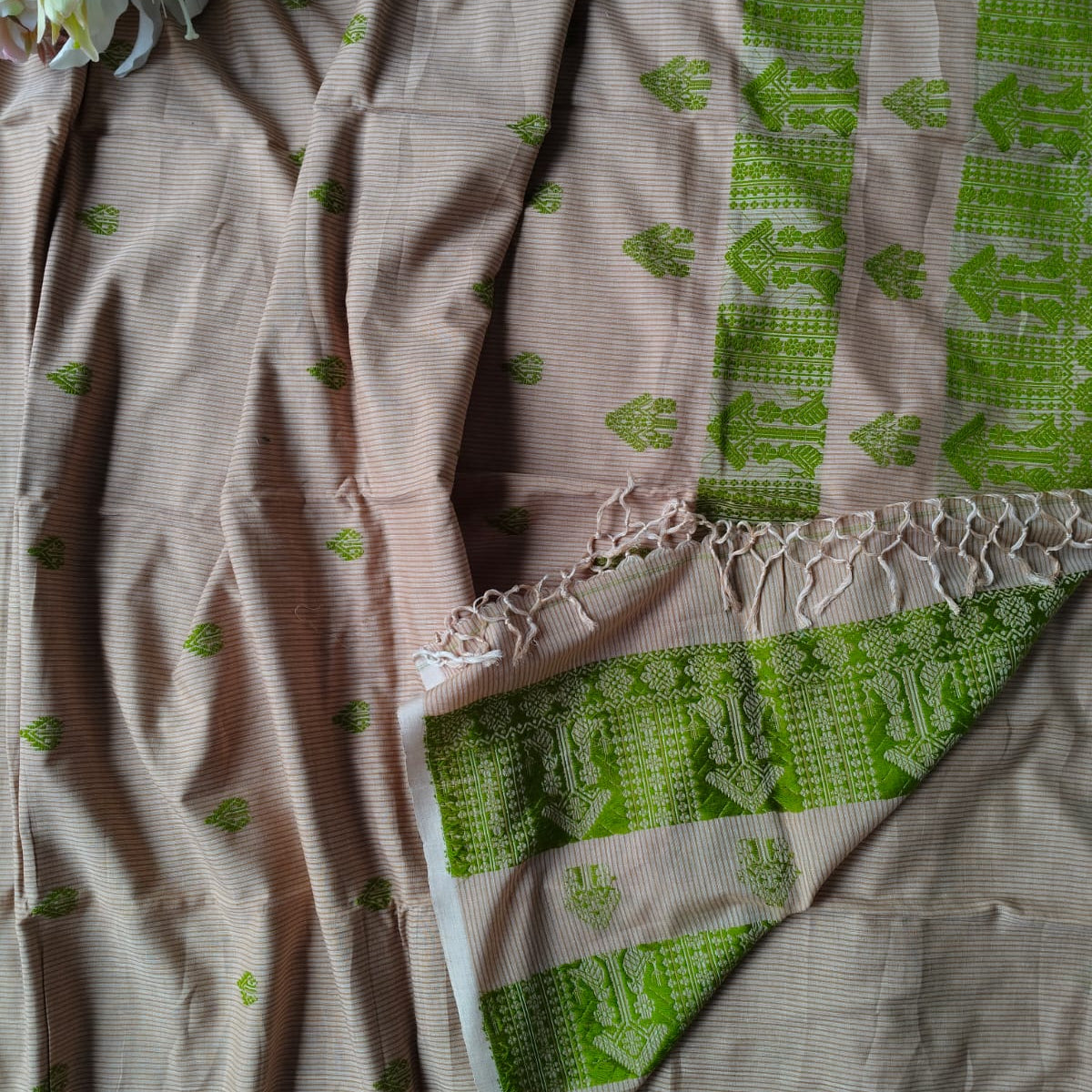 The reverse side of the pallu