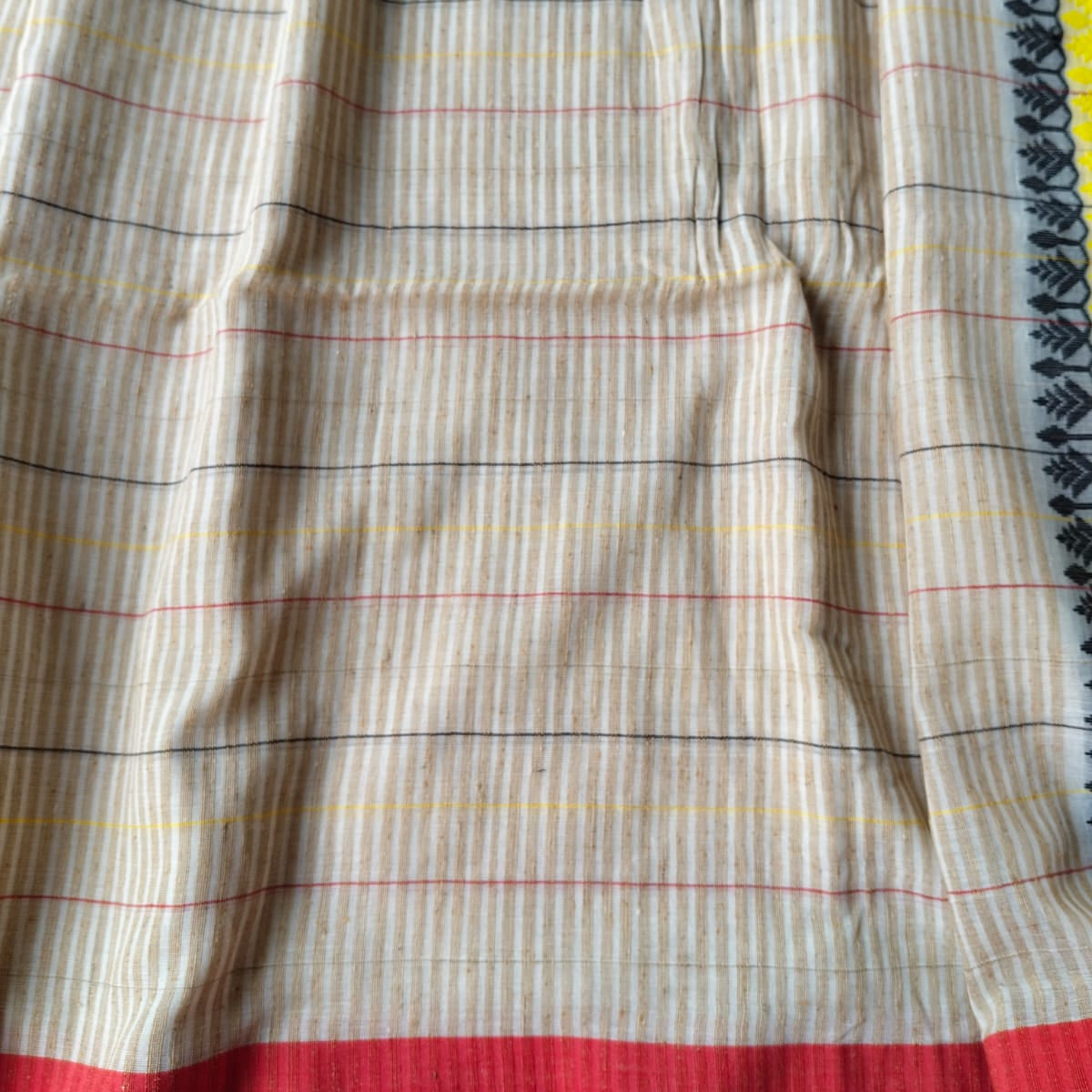 body of the saree