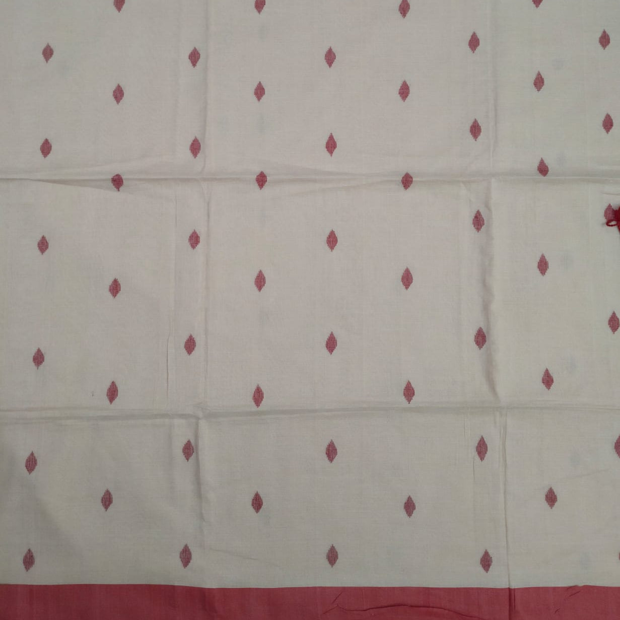 Handloom cotton jamdani saree
