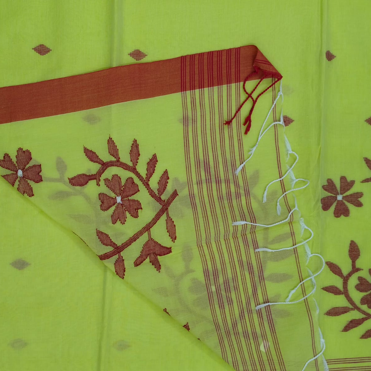 The reverse of the pallu.
