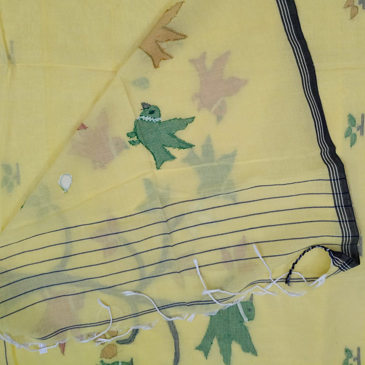 Reverse side of the pallu