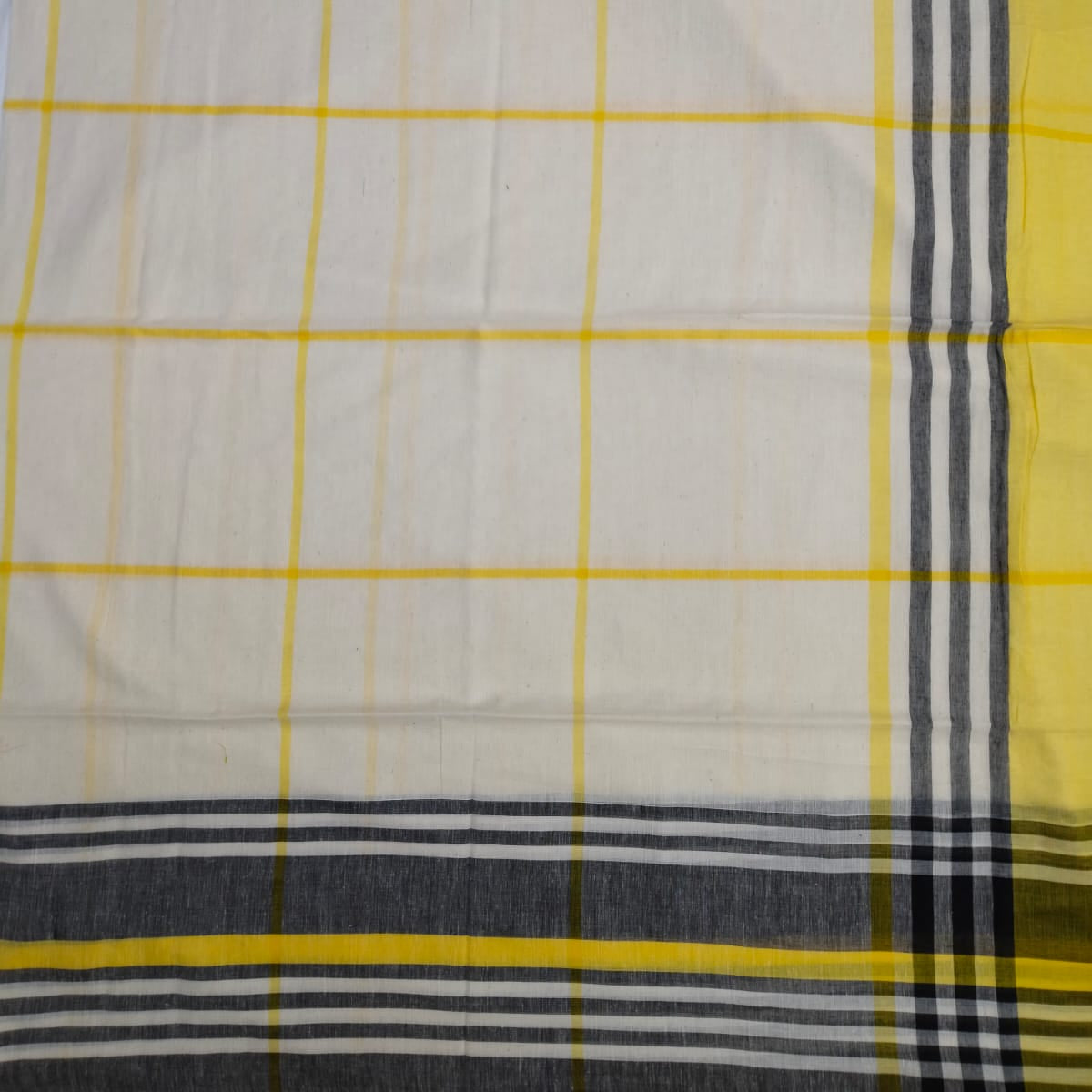 Handloom cotton chequered saree