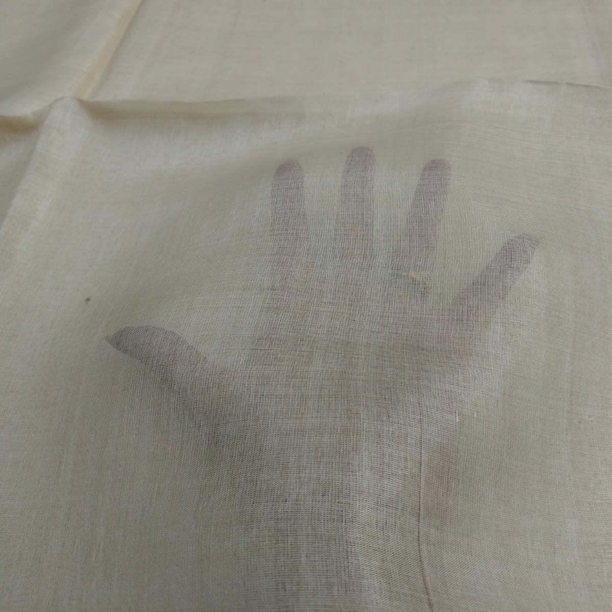 Handloom pure tussar saree